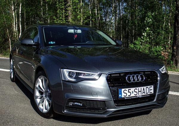 Audi A5 cena 81500 przebieg: 95173, rok produkcji 2016 z Bytom małe 667